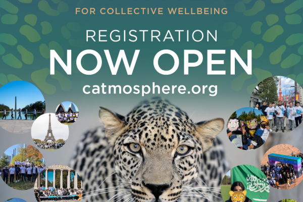 Catwalk 2024: Unveiling the First International Day of the Arabian Leopard!